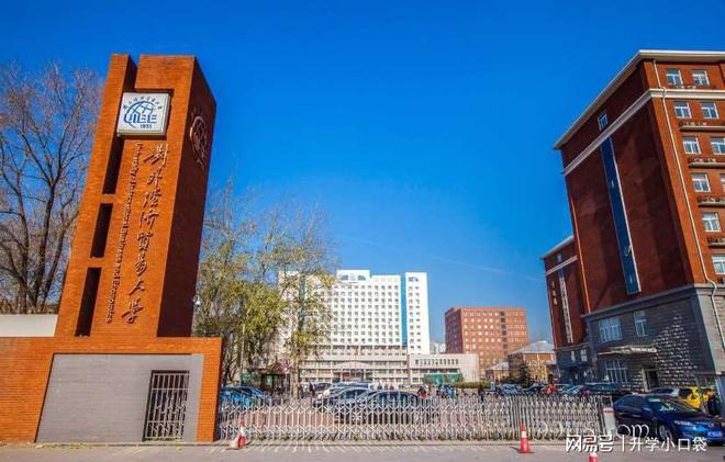 平博 PINNACLE平博对外经济贸易大学排名数据保研数据和就业(图5)